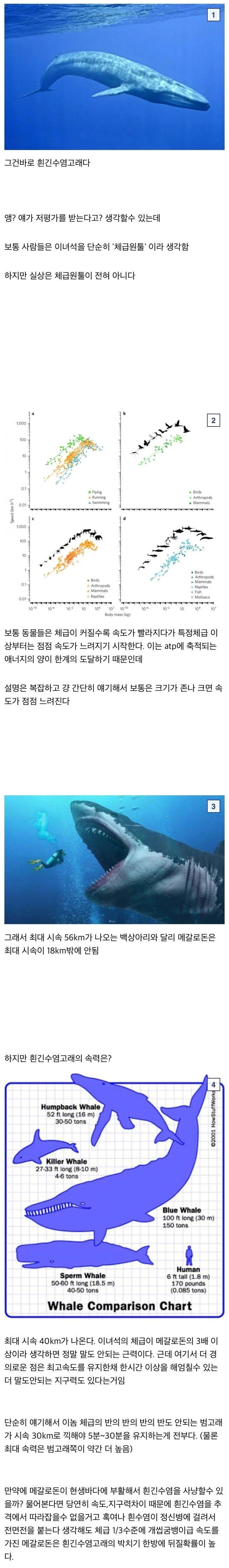 의외로 저평가 받는 동물