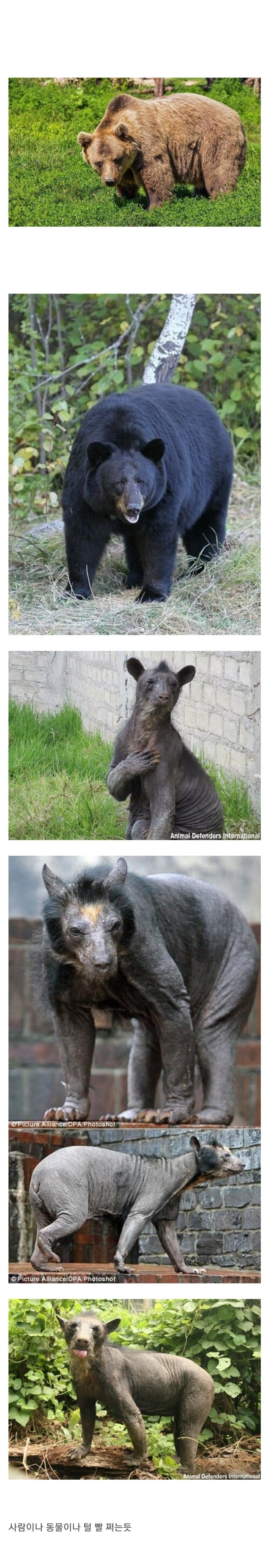 GhCKKr5.jpg