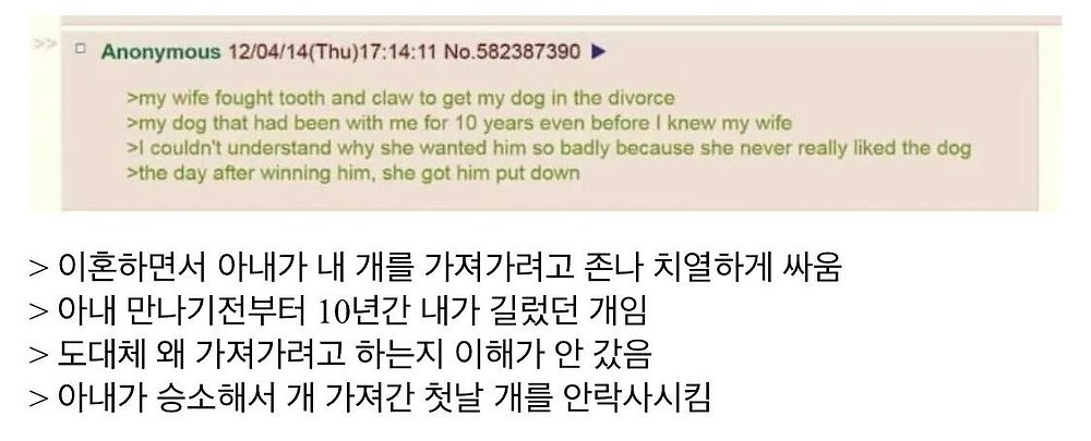 아내가 이혼하면서 개를 가져간 이유