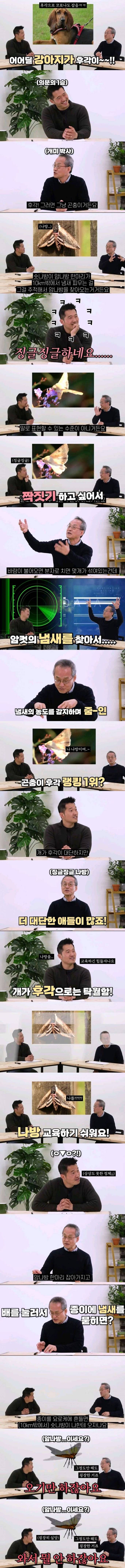 엄청난 후각을 가진 생명체