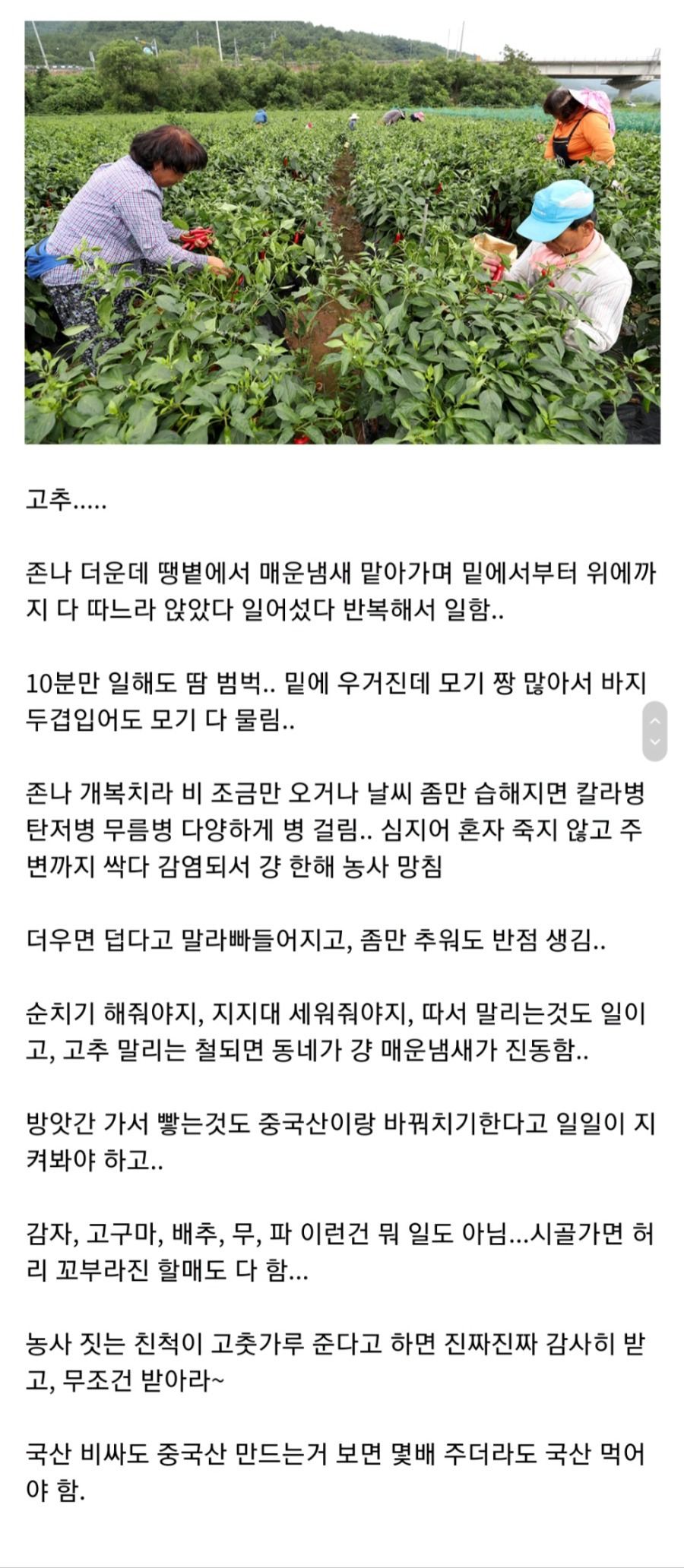 의외로 농사짓기 힘든 작물