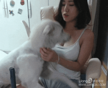51850016495649499.gif