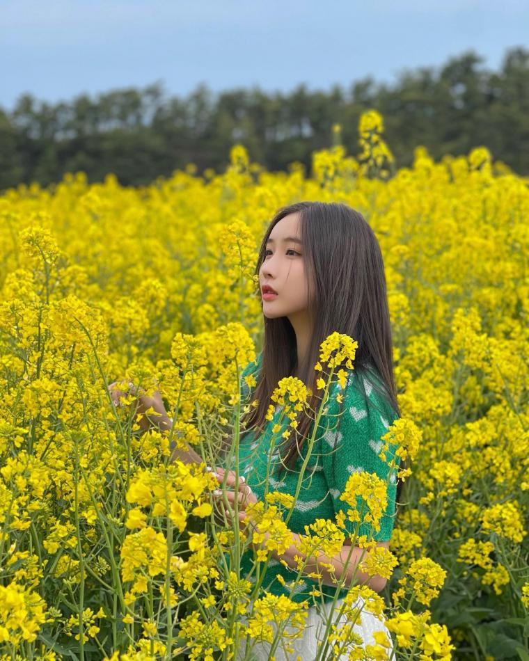 본문 이미지