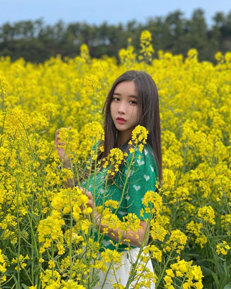본문 이미지