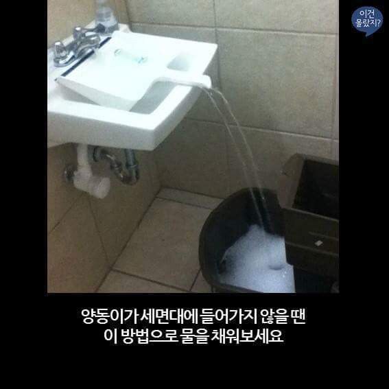 2104F54756C7EAD302C407