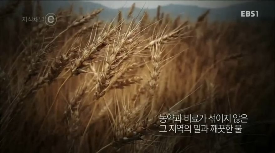 998D5A425B244A1D32529C