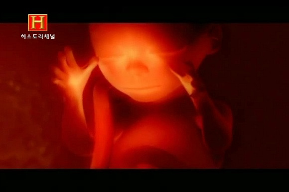 윤회설과 에너지 보존 법칙