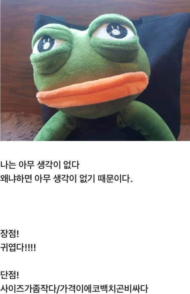 슬픈개구리 페페 에코백 후기