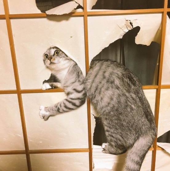 2619B84C5959CD46041DB6