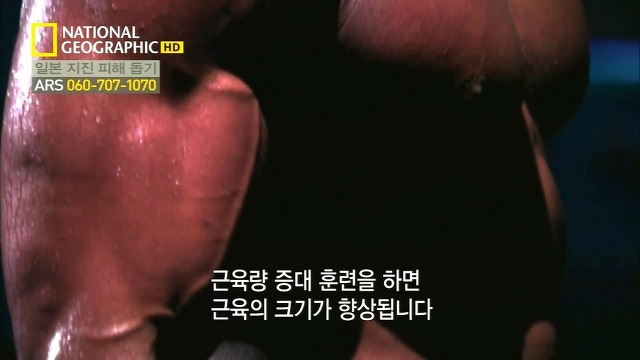 스테로이드의 힘