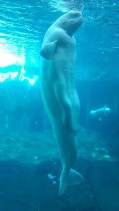 99CCF5455B1F0BB0108B41