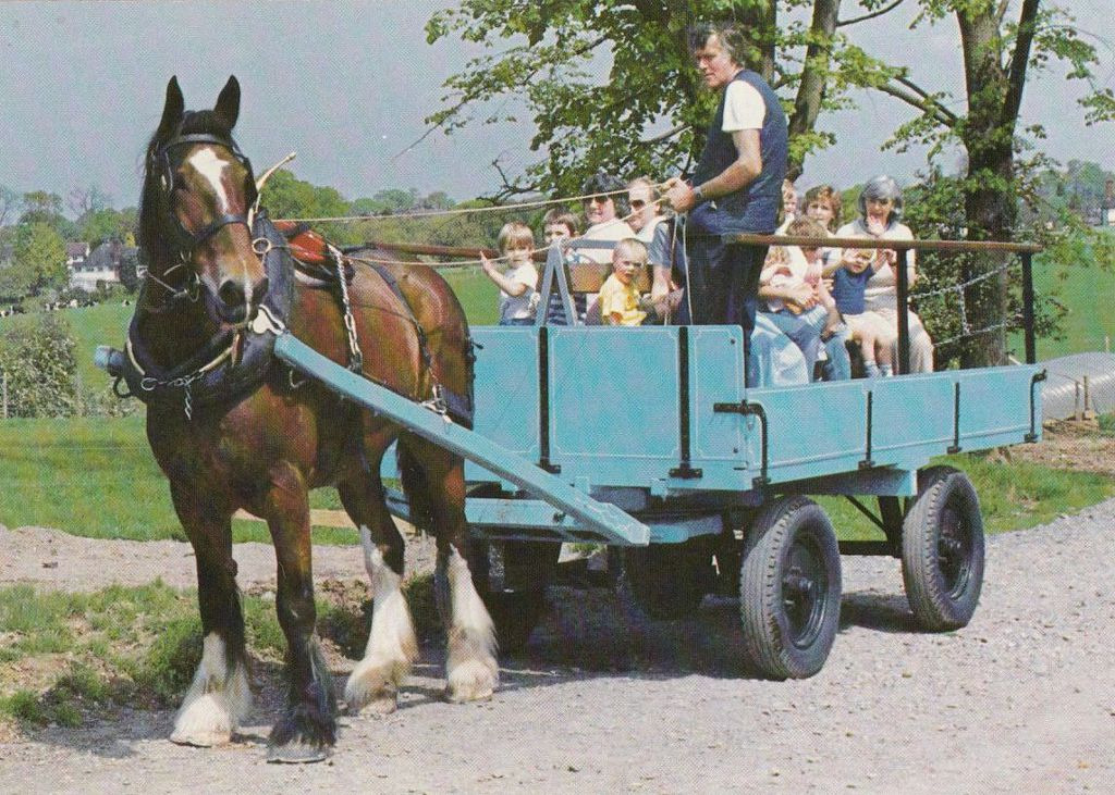 99767C465BB7685D0A8E5F