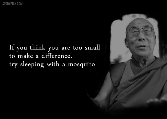 99C6E84D5A8854FE154097