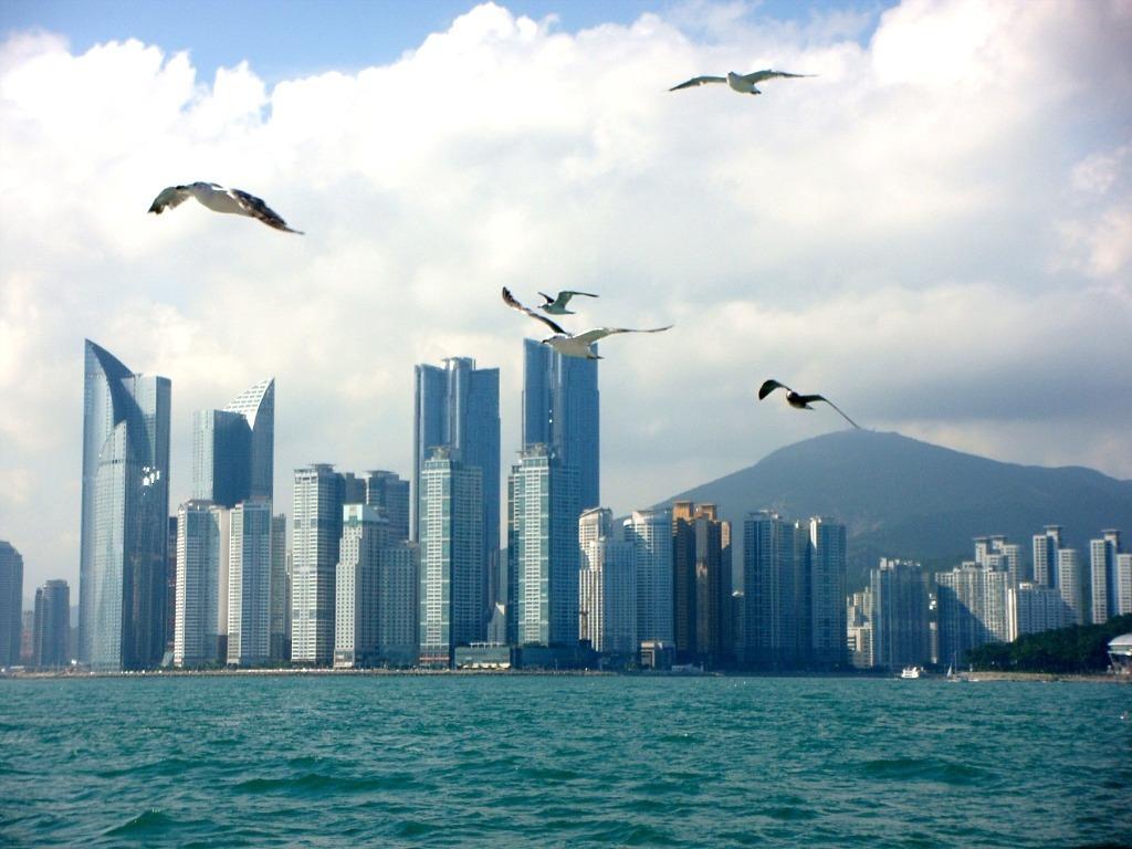 부산 아파트의 조망