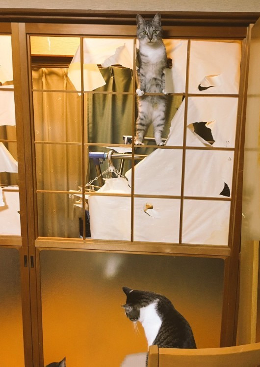 2656504C5959CD47180178