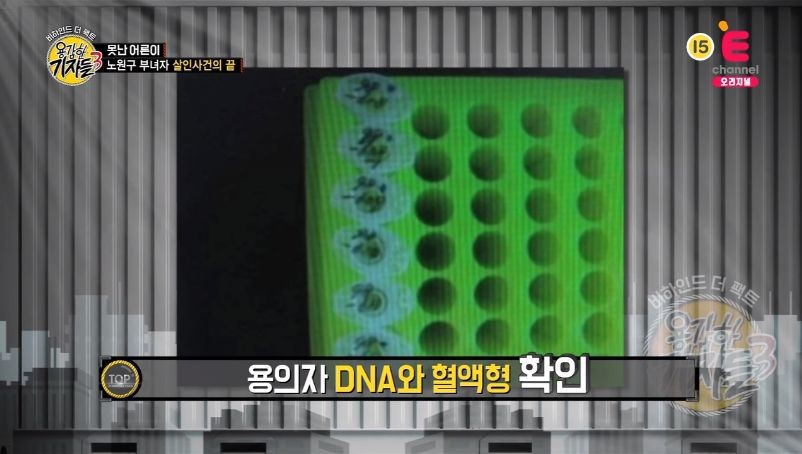 993DFE3E5BB9B3273A363E