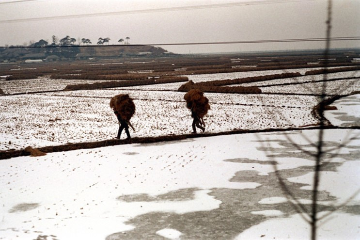 1972년 경기도 김포