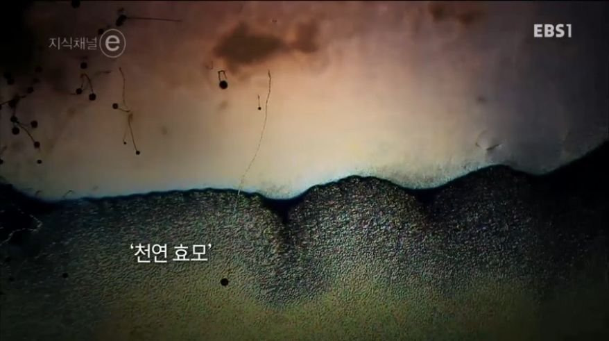 99408B425B244A1E35318F