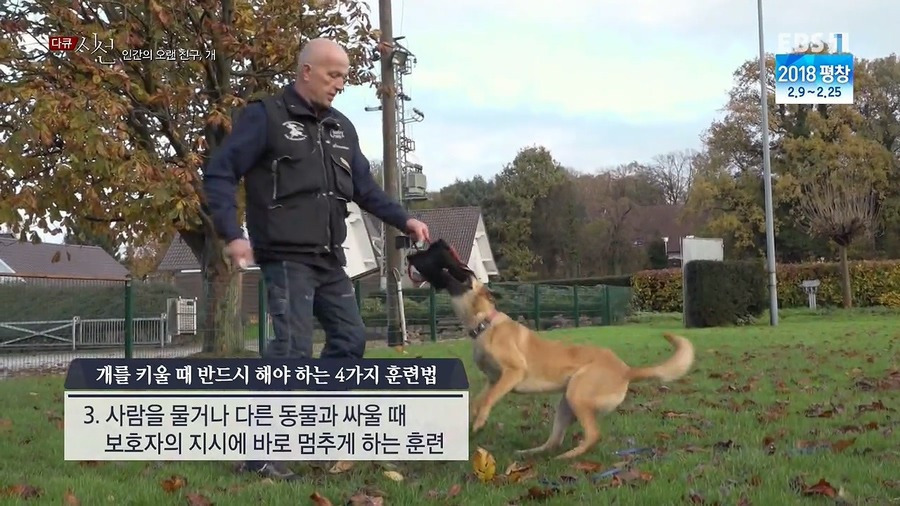 인간의 오랜 친구