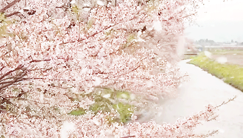 99BFB03D5AC787F31C78D8