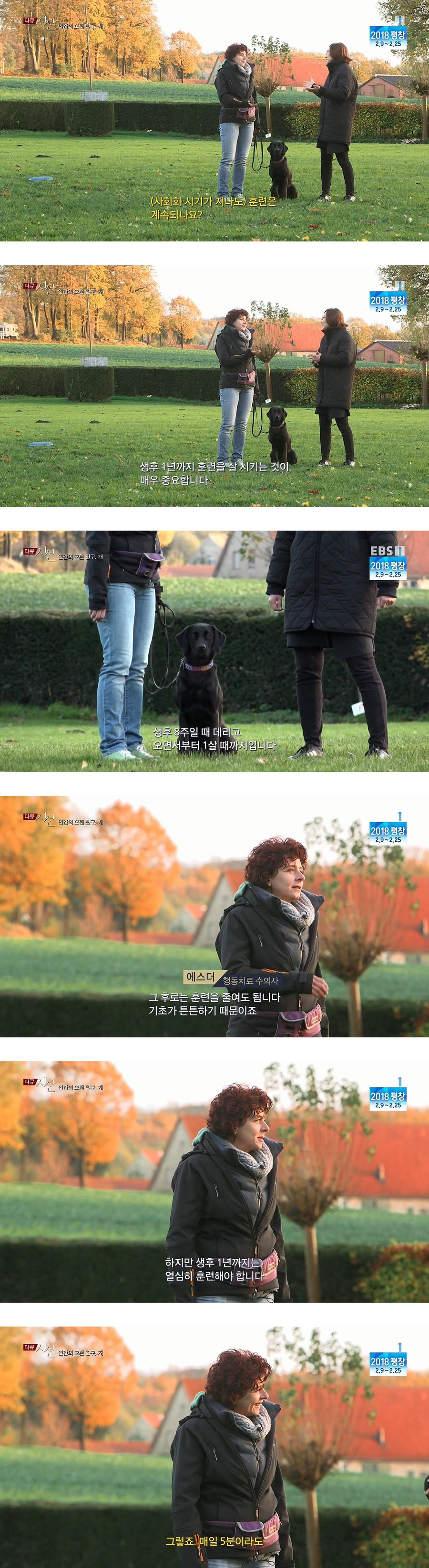 인간의 오랜 친구