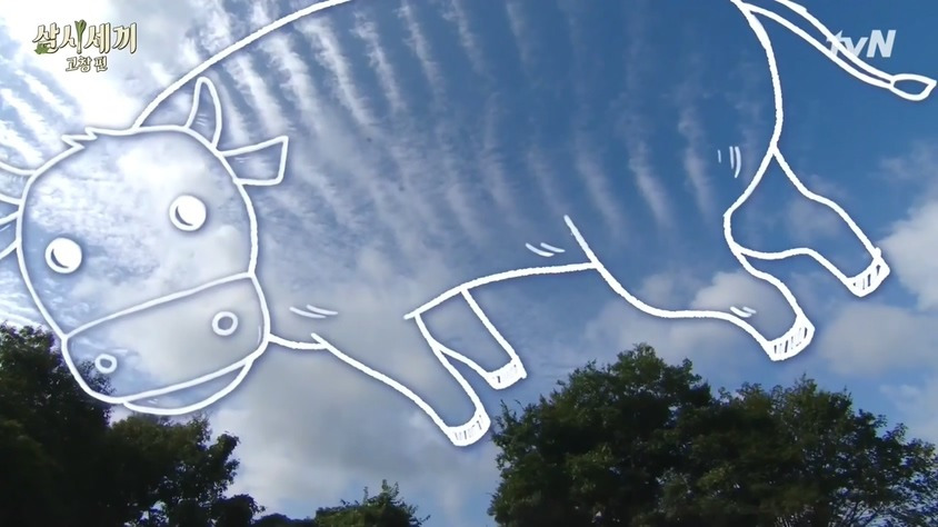 갈비를 먹어야 하는 날