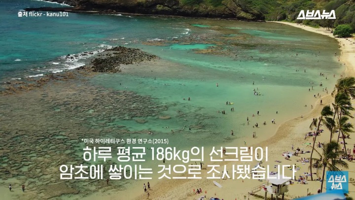 여름 필수품 선크림이 하와이 산호초 초토화 시킨 이유