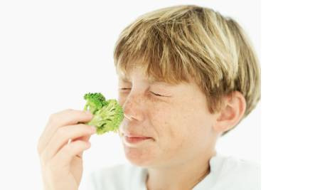 외국애들이 브로콜리 싫어하는 이유
