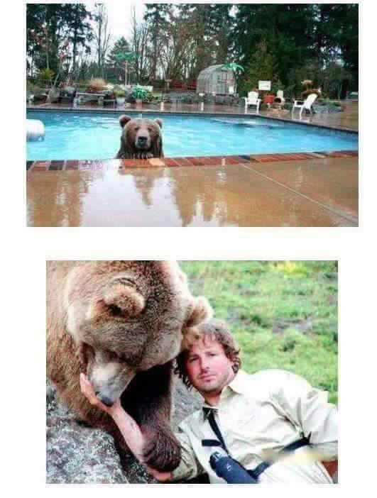 곰과 함께 자란 남자