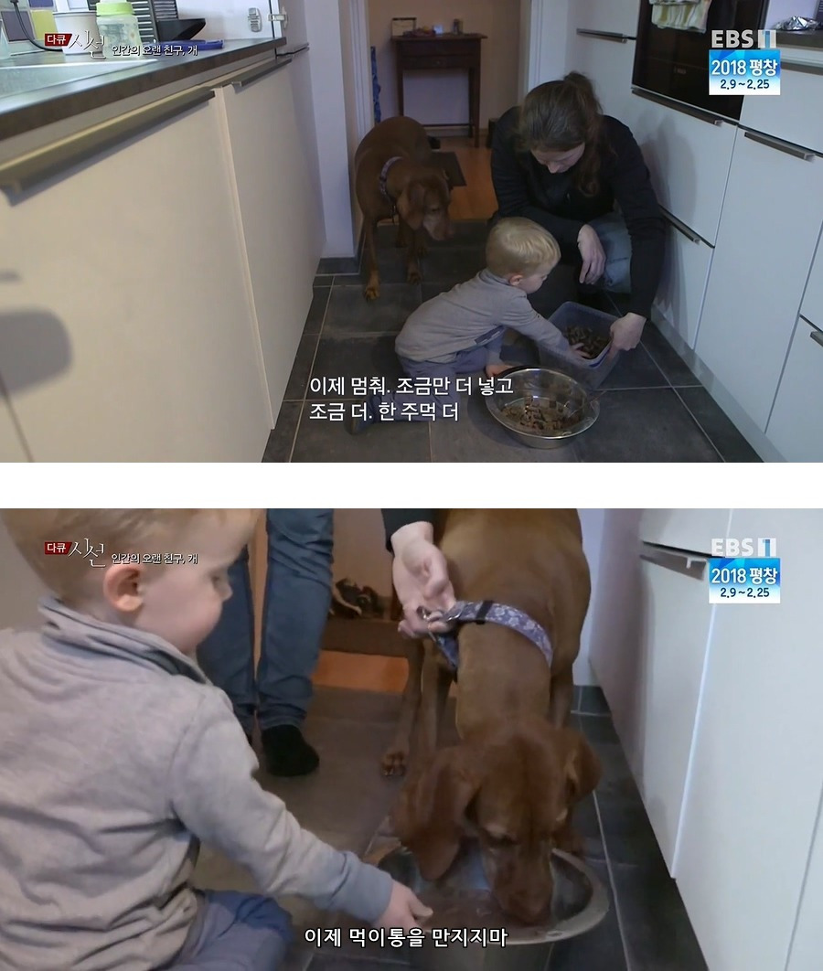 인간의 오랜 친구