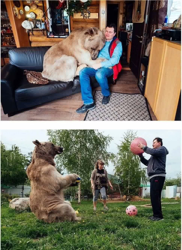 곰과 함께 자란 남자