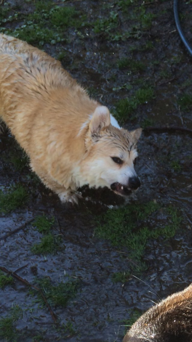 찬물도 위 아래가 있다