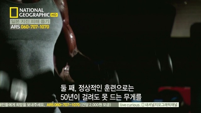 스테로이드의 힘