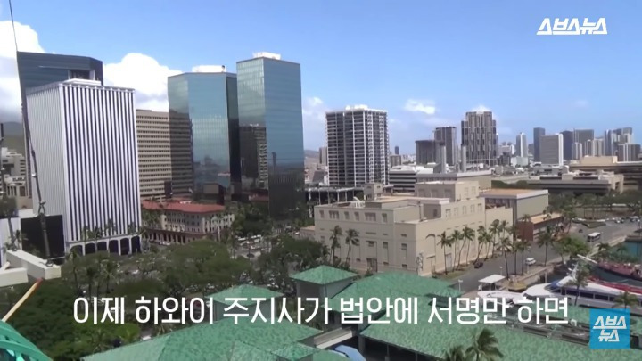 여름 필수품 선크림이 하와이 산호초 초토화 시킨 이유