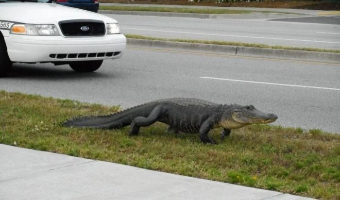 미국 플로리다의 일상