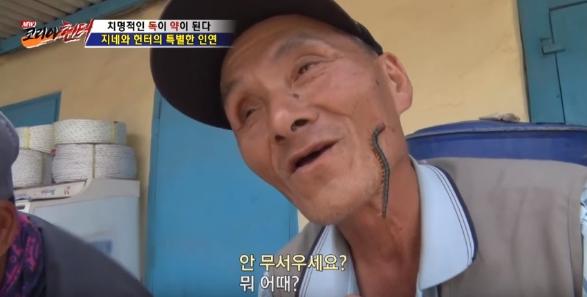 지네를 건강하게 먹는 방법