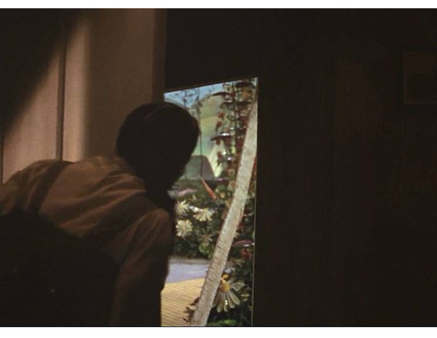 9965514C5B31DFF72CA259