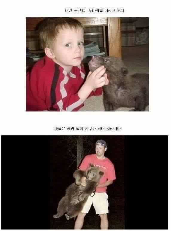 곰과 함께 자란 남자