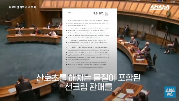 여름 필수품 선크림이 하와이 산호초 초토화 시킨 이유