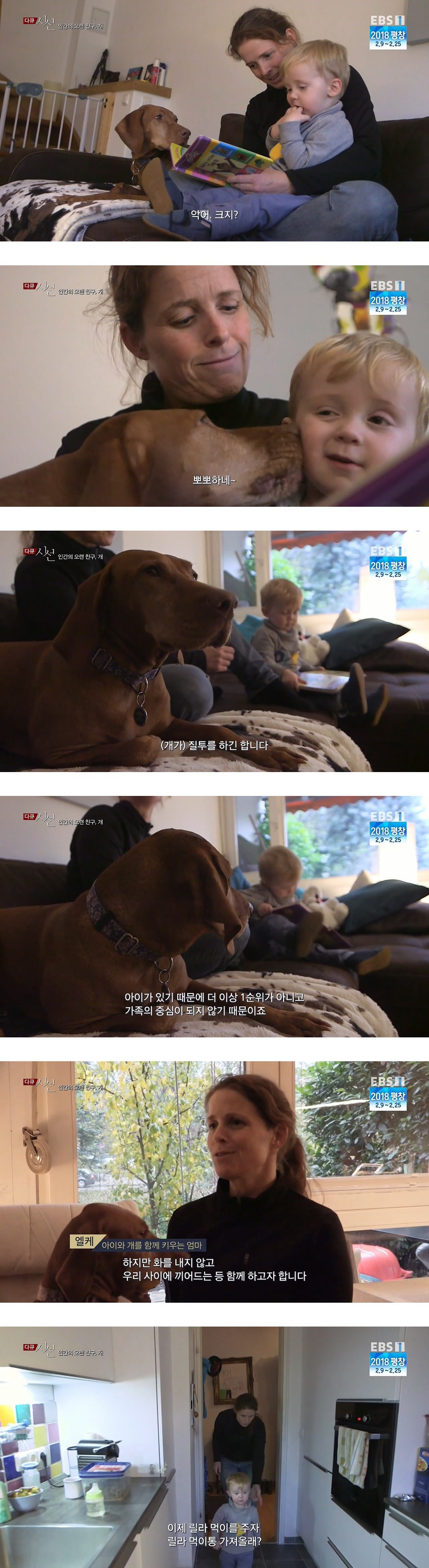 인간의 오랜 친구