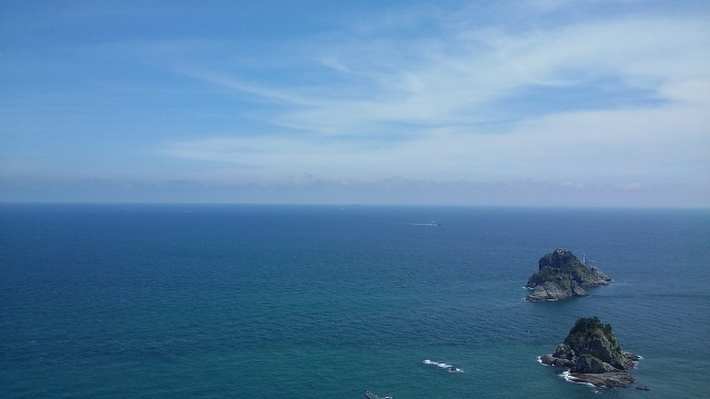 부산 아파트의 조망