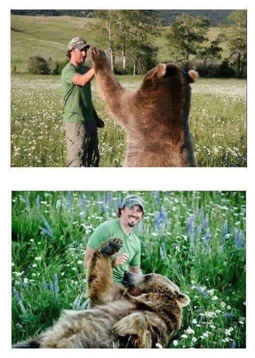 곰과 함께 자란 남자