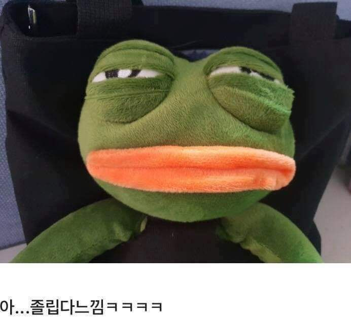 슬픈개구리 페페 에코백 후기