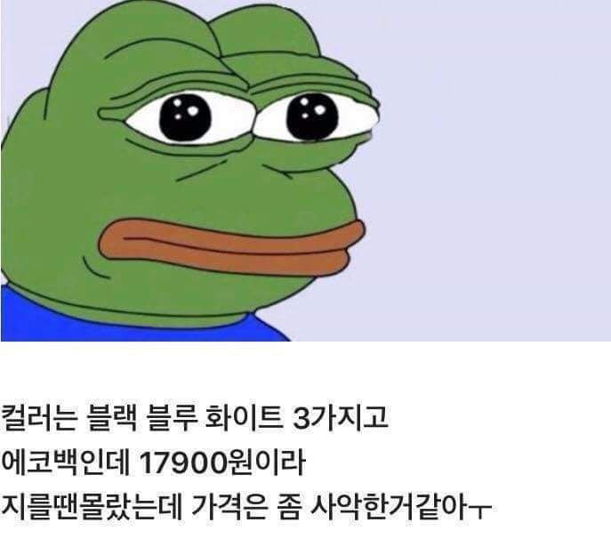 슬픈개구리 페페 에코백 후기