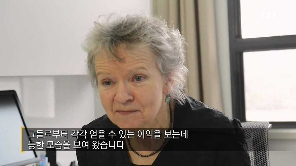 한국의 생존 전략