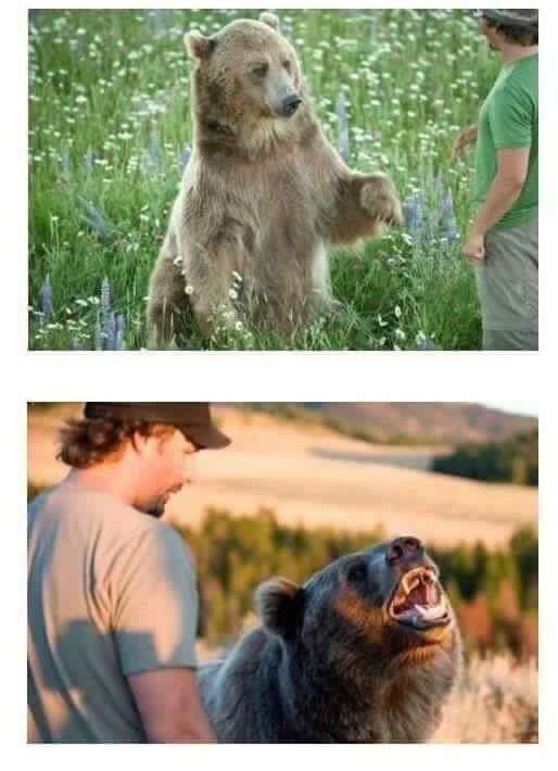 곰과 함께 자란 남자