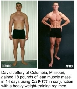 스테로이드의 힘