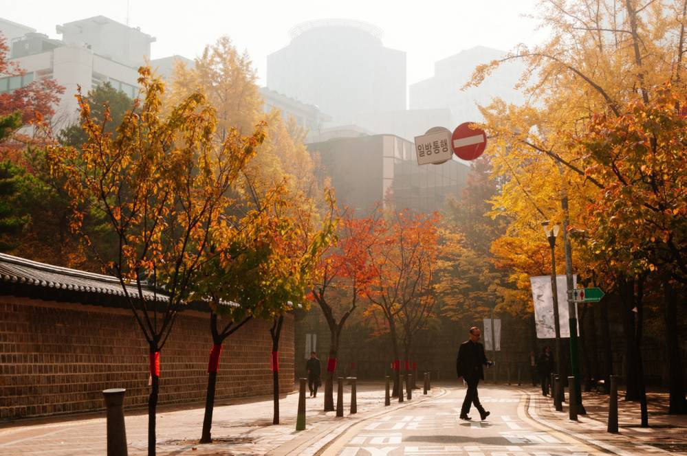 2326545056A84A9A04430B