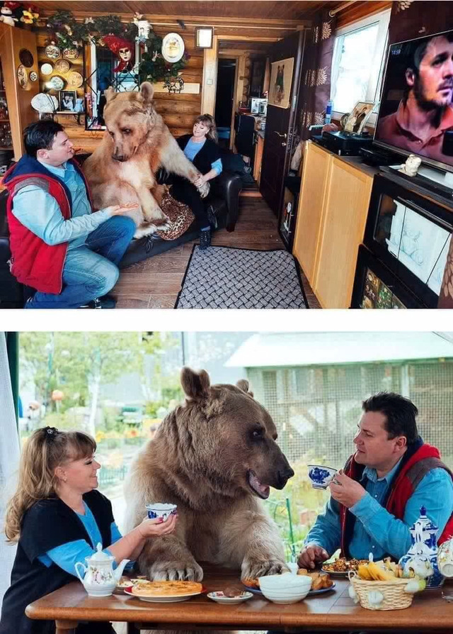 곰과 함께 자란 남자