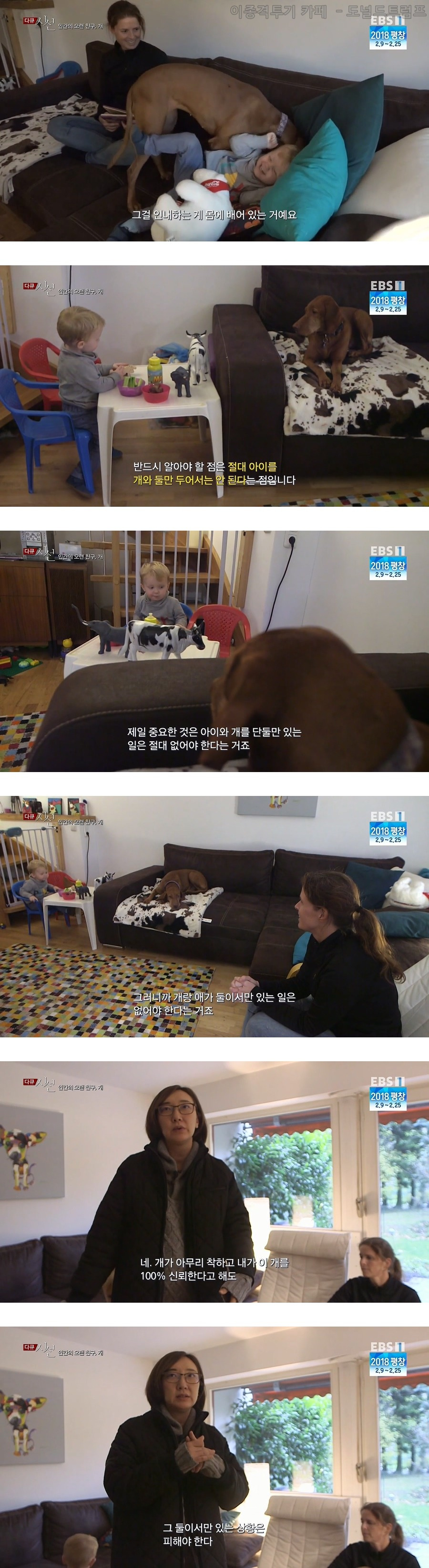 인간의 오랜 친구